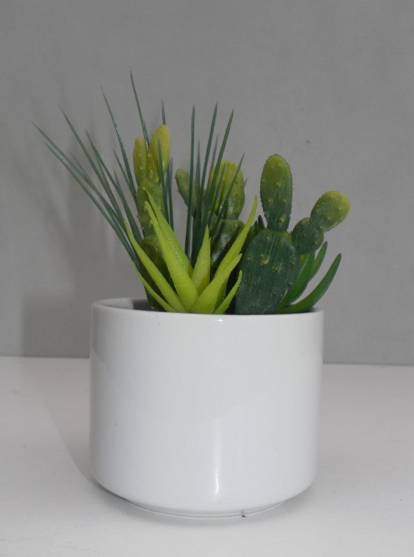 Kaktus miniaturka w doniczce - ozdobna kompozycja