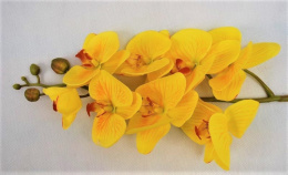 Storczyk sztuczny w kolorze żółtym - gałązka 100 cm