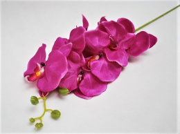 Storczyk sztuczny w kolorze fioletowym - gałązka 100 cm