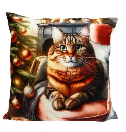 Christmas pillowcase