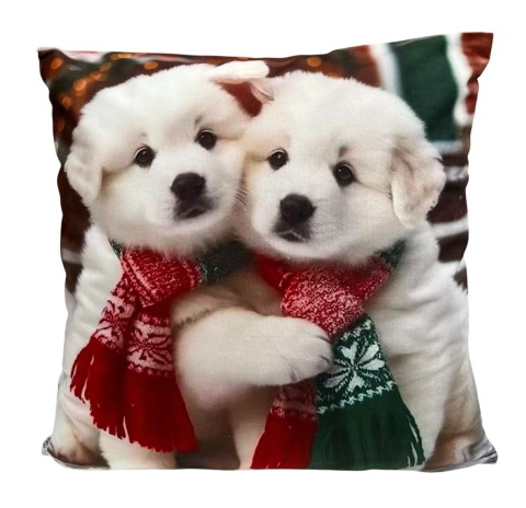 Christmas pillowcase