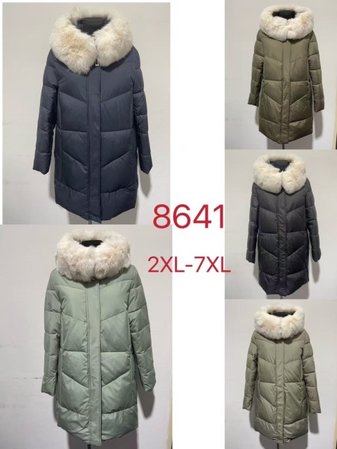 Women's winter jacket