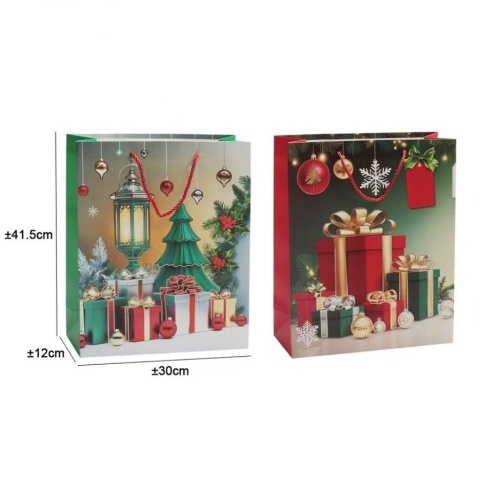 Christmas Paper Bags