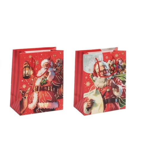 Christmas Paper Bags