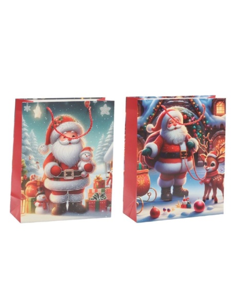 Christmas Paper Bags