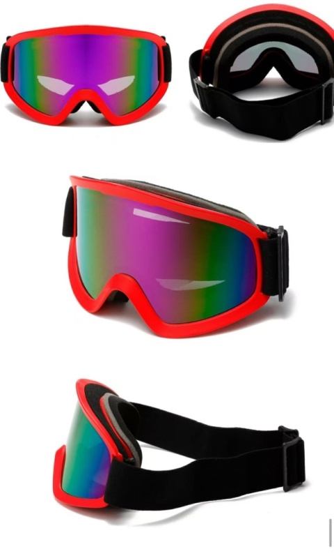 Ski goggles