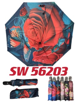 Umbrella