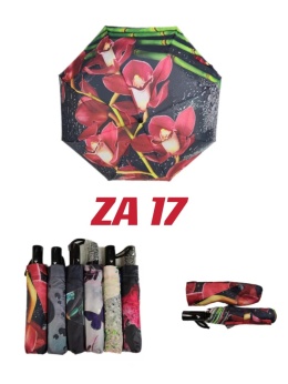 Umbrella