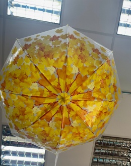Umbrella