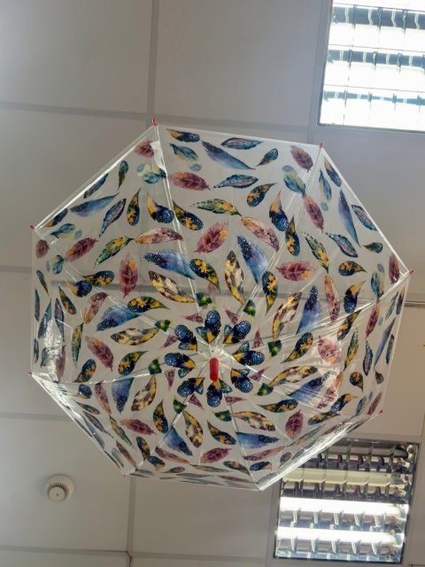 Parasol