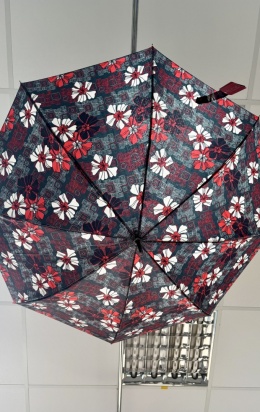 Umbrella
