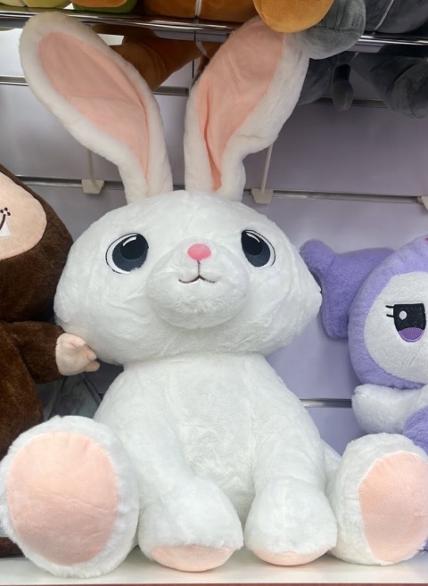 Maskotka z Kocykiem 2w1
