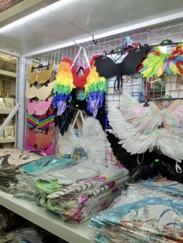 Carnival costume