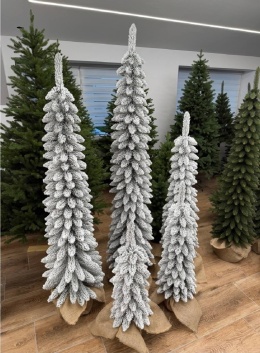 Choinki