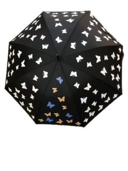 Parasol