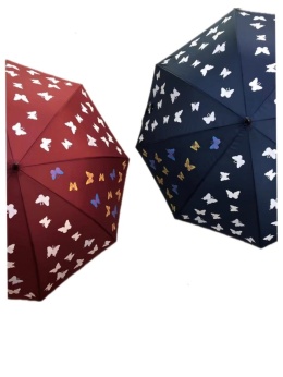 Parasol
